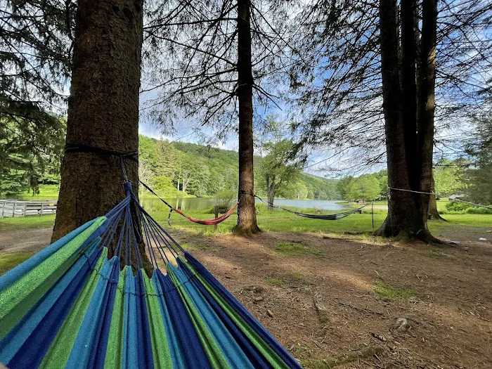 Bear Spring Mountain Campground Picture 3