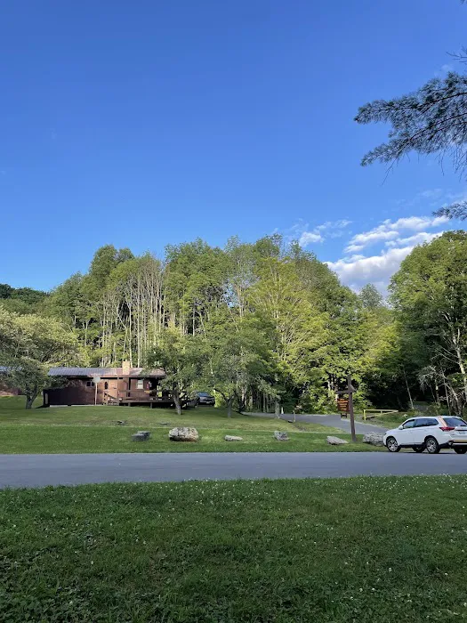 Bear Spring Mountain Campground Picture 5