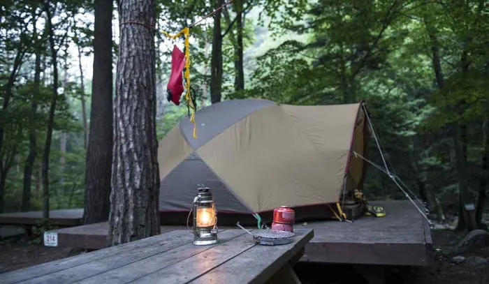 Hillside Campgrounds Picture 2