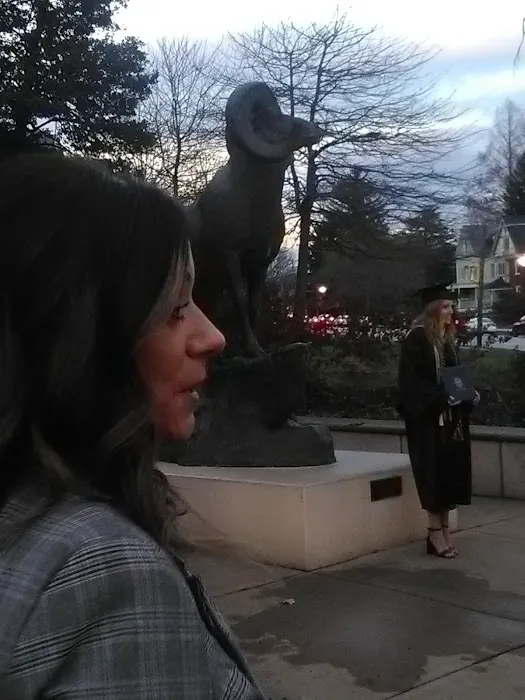 Happy Campers at The Funny Farm Picture 7