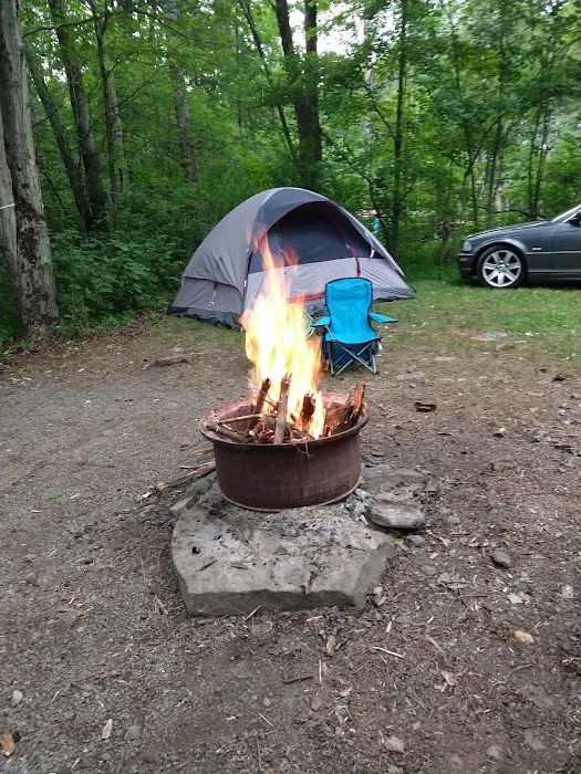 Shore Forest Campground Picture 1