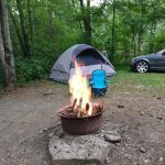 Shore Forest Campground