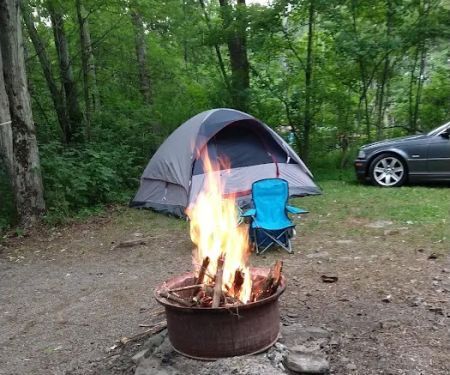 Shore Forest Campground
