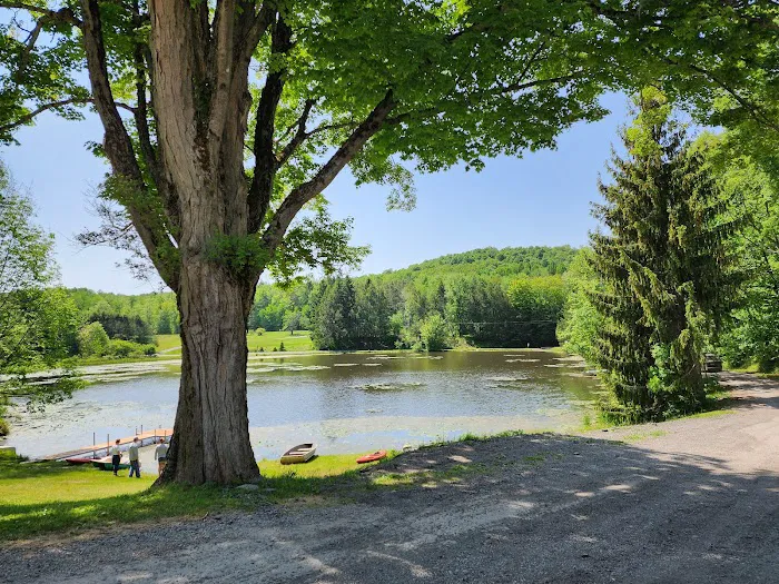 Shore Forest Campground Picture 8