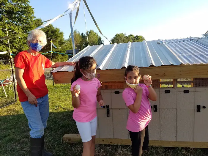 Kingswood Campsite Picture 8