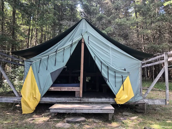 Kingswood Campsite Picture 9