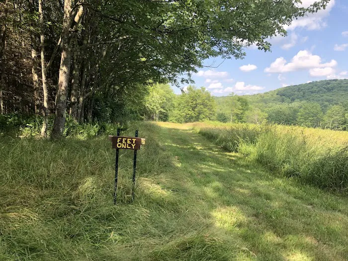 Kingswood Campsite Picture 2