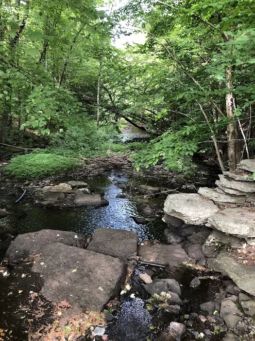 Camp Oswego Picture 10