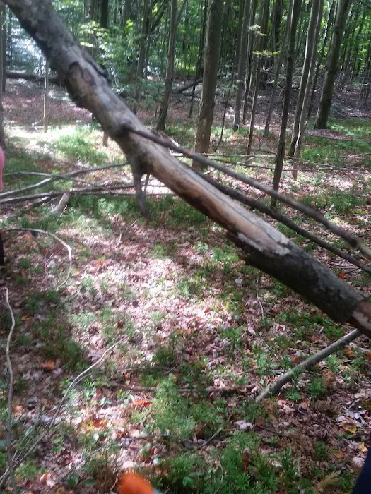 Camp Oswego Picture 9