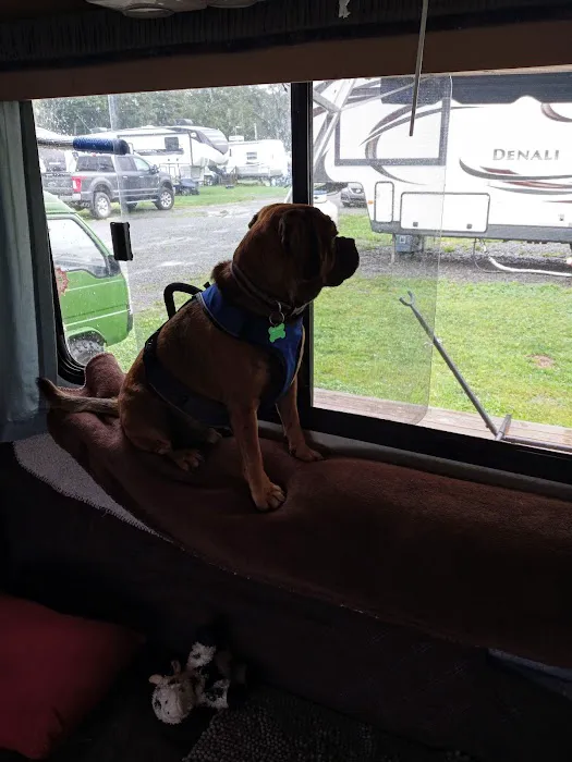 Montrose Campground Picture 7