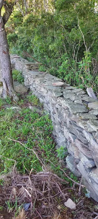 Montrose Campground Picture 6