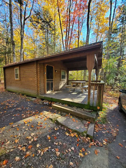 Lackawanna State Park Campground Picture 10