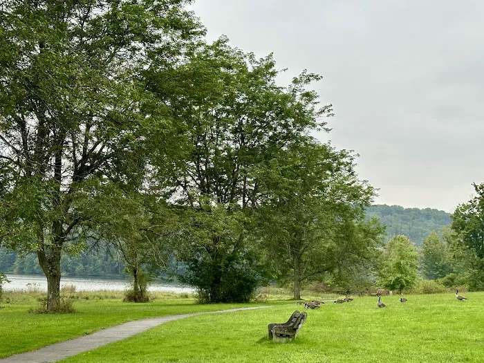 Lackawanna State Park Campground Picture 6