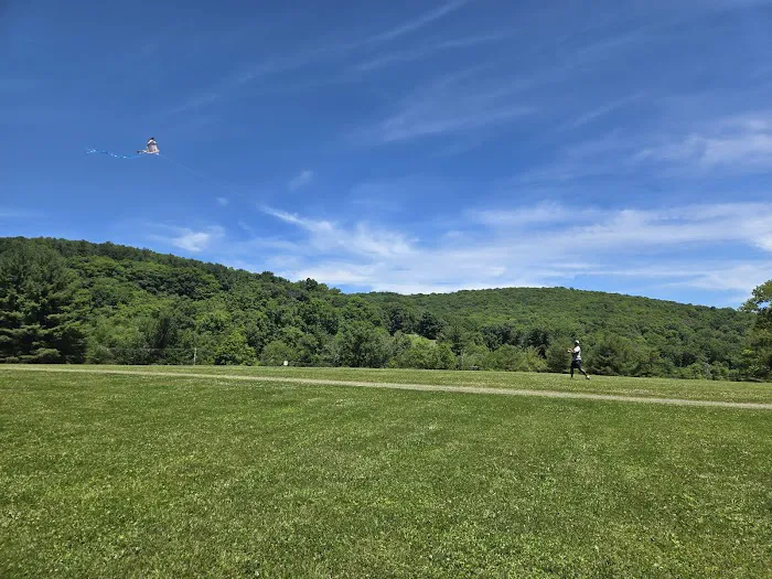 Lake Waramaug State Park Campground Picture 4