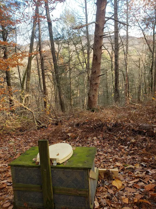 Group Camp Sites Picture 10