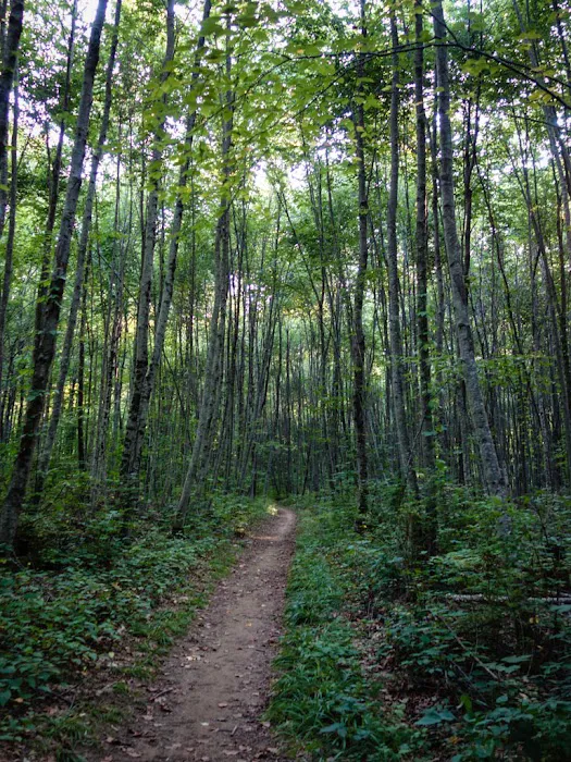 Group Camp Sites Picture 5