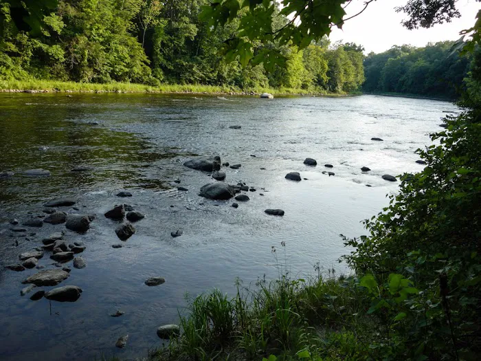 Group Camp Sites Picture 6