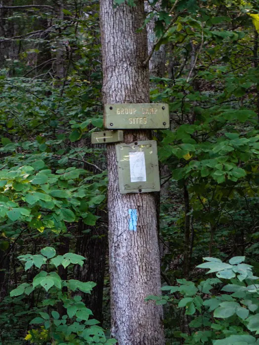 Group Camp Sites Picture 9