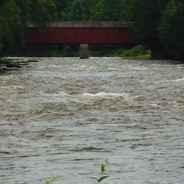 Group Camp Sites Picture 7