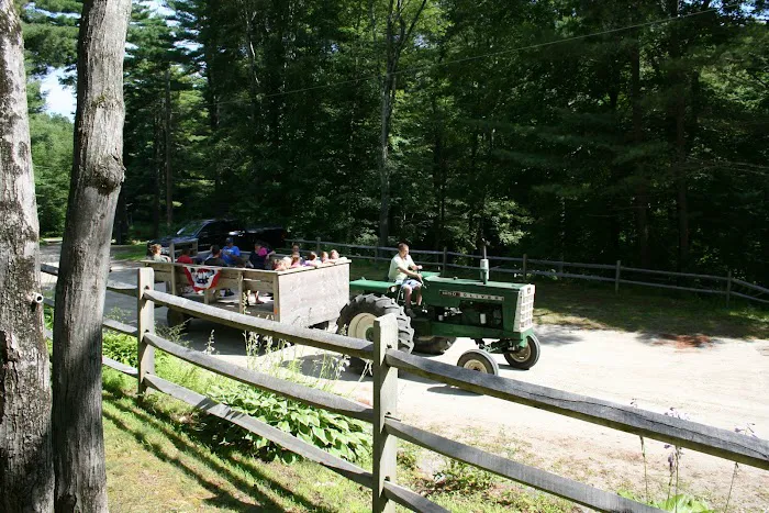 Cozy Hills Campground Picture 7