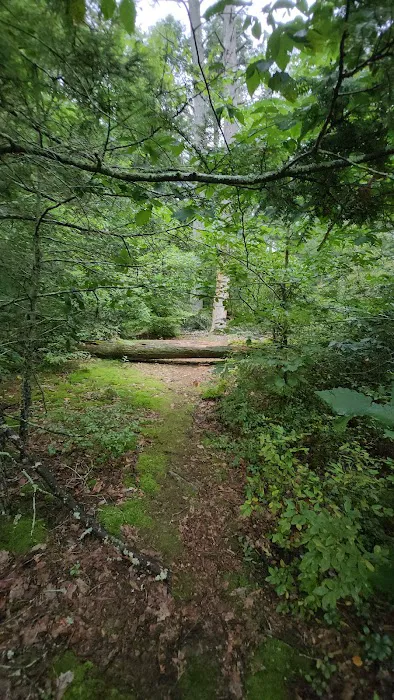 Housatonic Meadows Campground Picture 5
