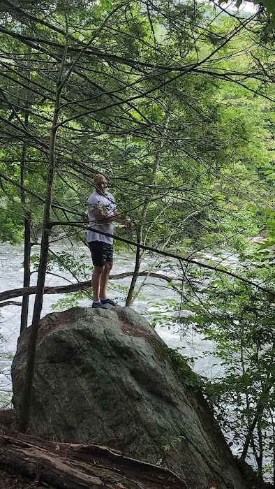 Housatonic Meadows Campground Picture 6