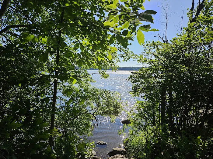 Point Folly Picture 4