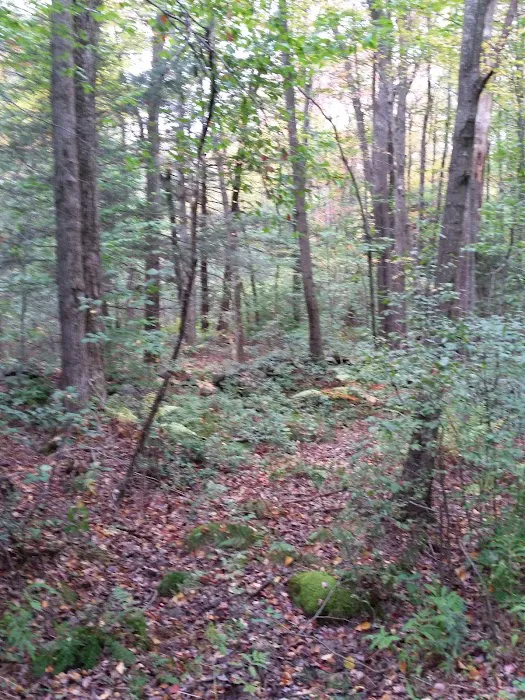 Camp Cochipianee Picture 2