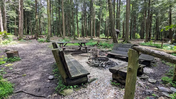 Northwest Camp Picture 2