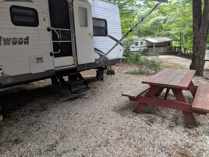 Fox Hill Camping Area Picture 4