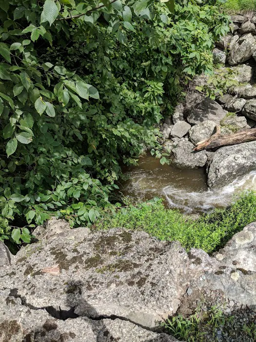 Fox Hill Camping Area Picture 7