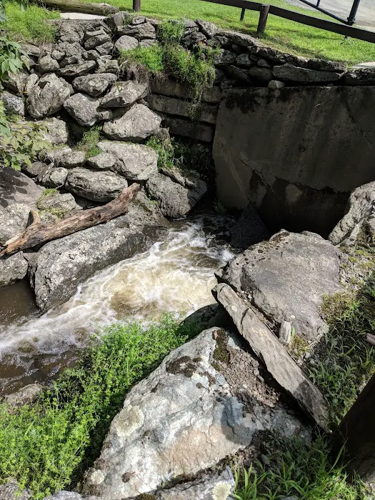 Fox Hill Camping Area Picture 5