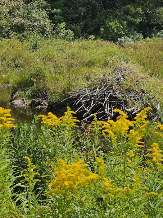 Beartown State Forest Park Entrance Picture 1
