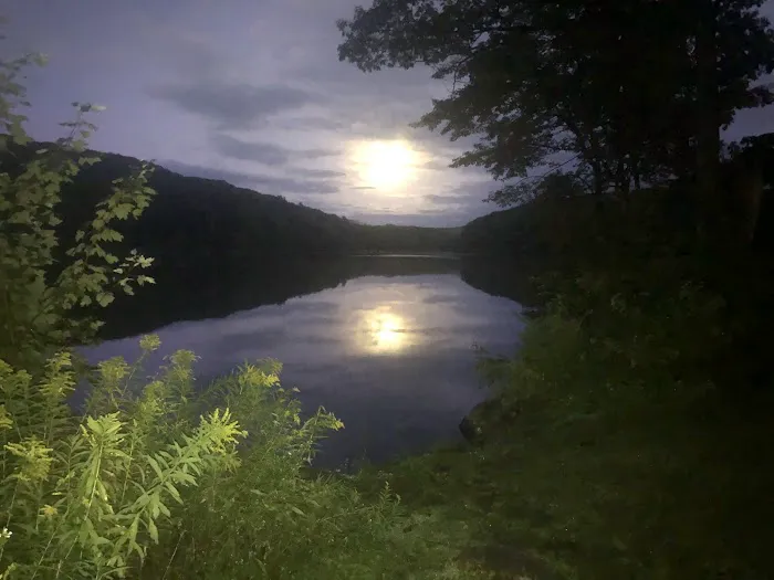 Beartown Site 7 Picture 1