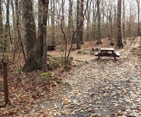 Beartown State Forest Site 12