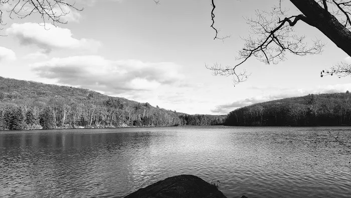 Beartown State Forest Site 10 Picture 3