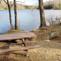 Beartown State Forest Site 10 ico