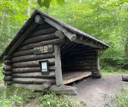 South Mount Wilcox Shelters
