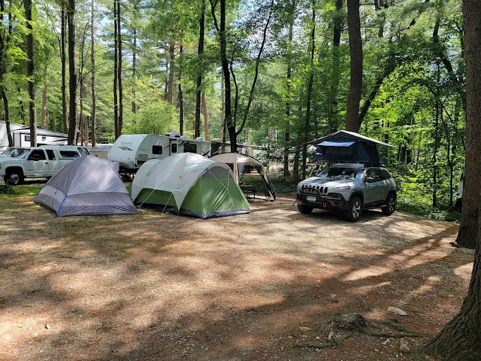 Lone Oak Campsites Picture 9