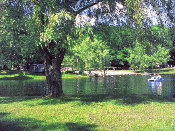 Spacious Skies Campgrounds - Woodland Hills Picture 2