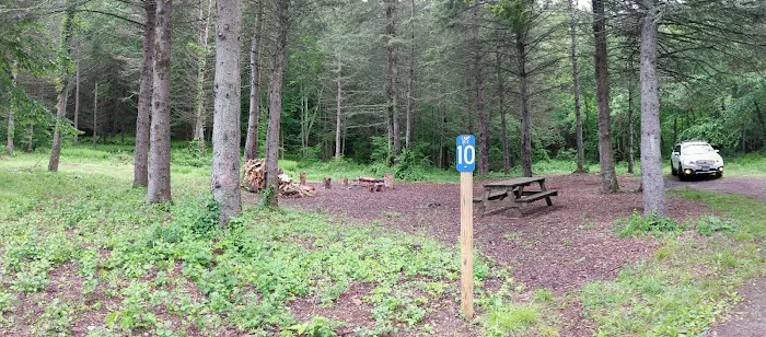 Webb Mountain Campsites 8-11 Picture 3