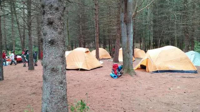 Webb Mountain Campsites 8-11 Picture 1