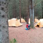 Webb Mountain Campsites 8-11