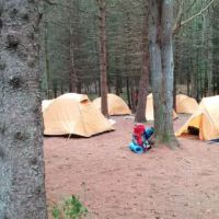 Webb Mountain Campsites 8-11 ico