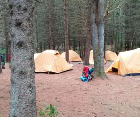 Webb Mountain Campsites 8-11