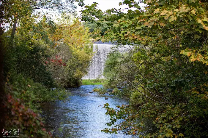 Webb Mountain Campsites 2-7 Picture 6