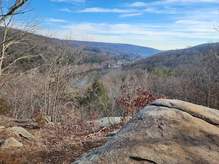 Webb Mountain Campsites 2-7 Picture 2