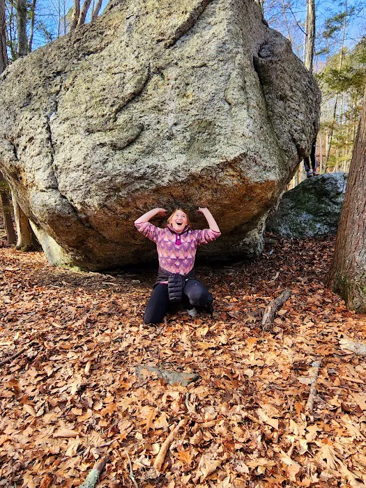 Webb Mountain Campsites 2-7 Picture 1