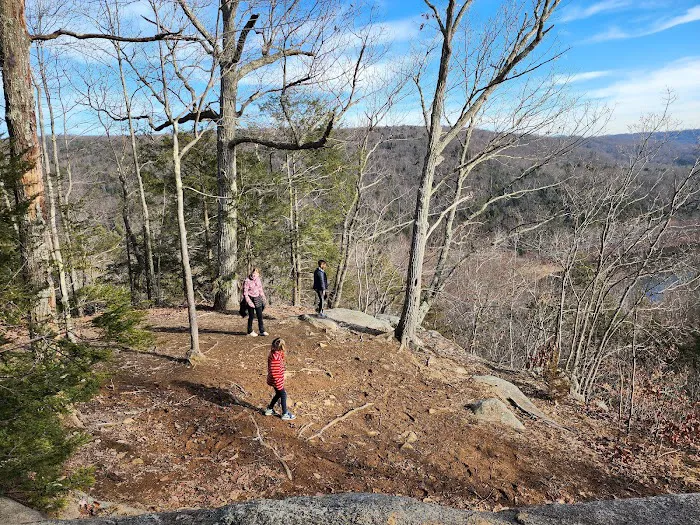 Webb Mountain Campsites 2-7 Picture 3