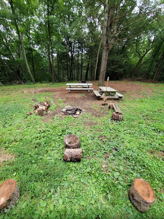 Webb Mountain Campsites 2-7 Picture 5